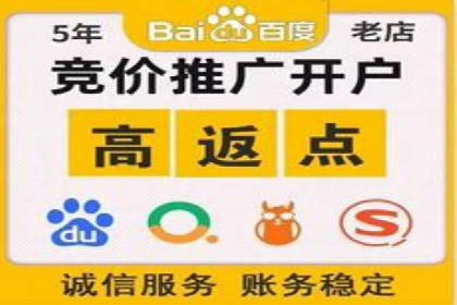 SEM推广实战：案例分析及效果评估